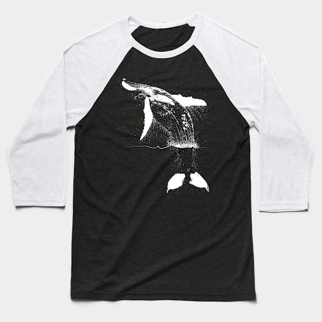 Breaching Humpback Whale Baseball T-Shirt by Art by Aelia